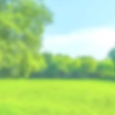 白内障の見え方